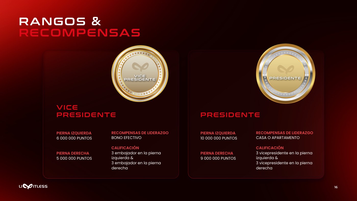 Dos medallas doradas sobre negro con los rangos Vicepresidente y Presidente
